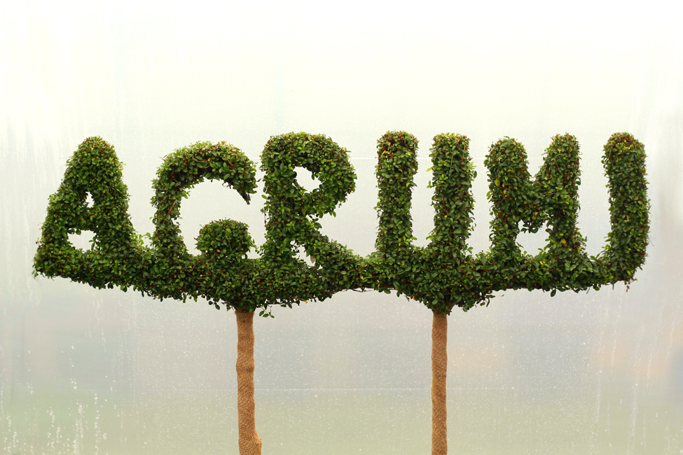 Topiary Archives Bespoke topiary plant sculptures